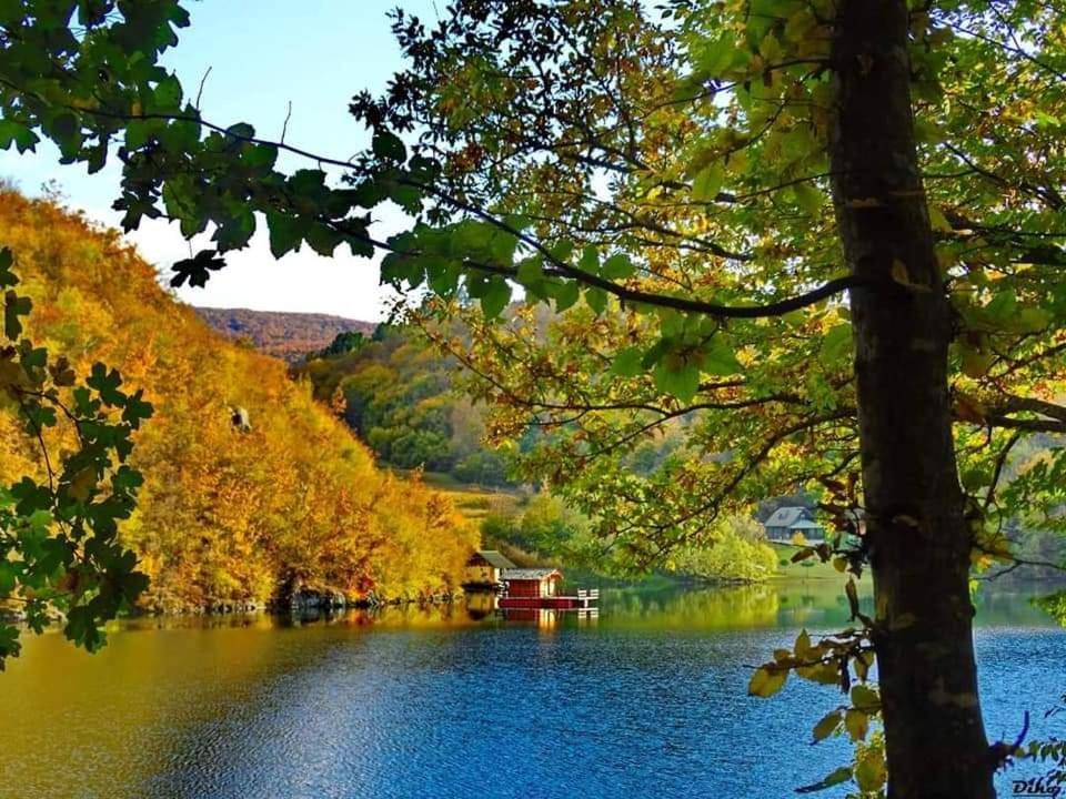 Ferienwohnung Brvnare Stojic Kokin Brod Exterior foto